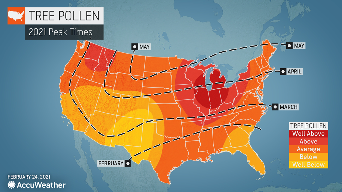 what are the pollen levels today