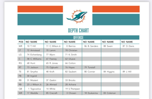 miami dolphin depth chart