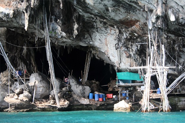 viking cave phi phi island