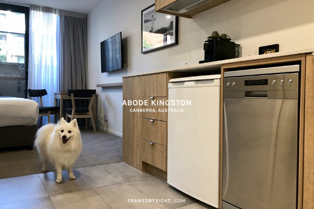 abode kingston pet friendly