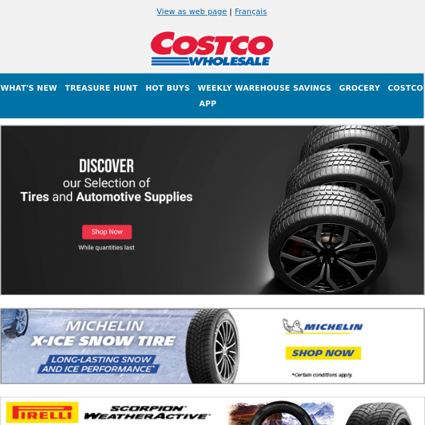 costco winter tires