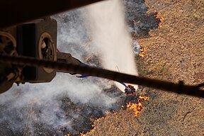 maui fires wiki