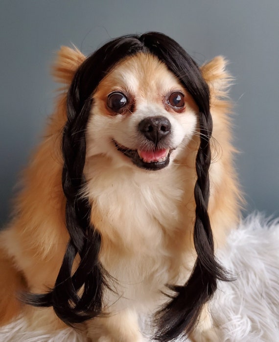 elegant pets wigs