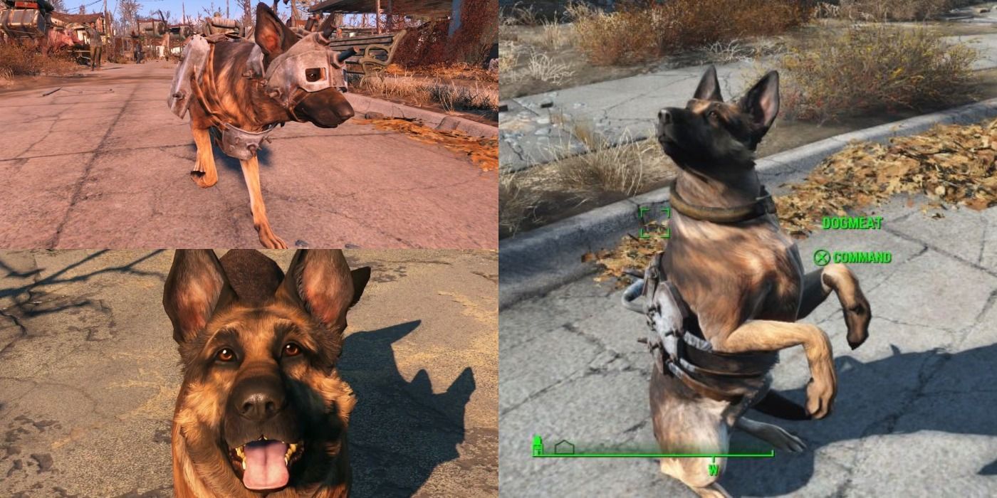 fallout 4 dog armor