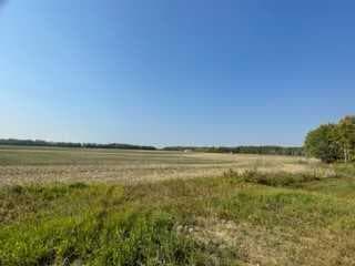 bush land for sale alberta