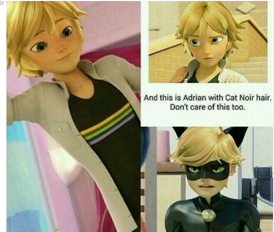 adrien agreste meme