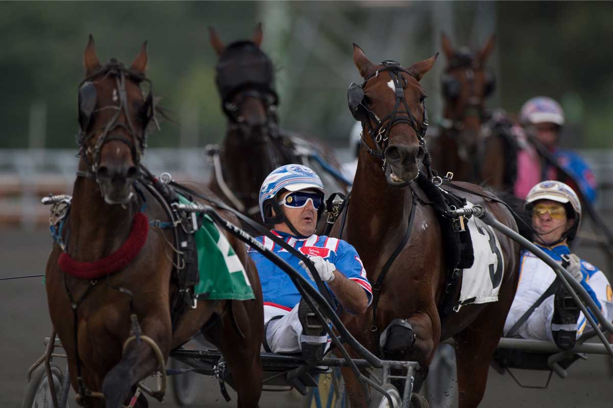 mohawk woodbine results