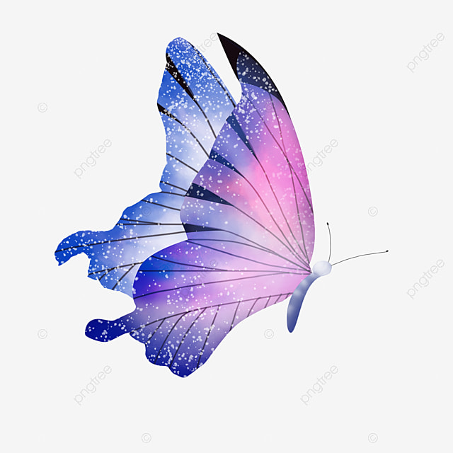 mariposa png sin fondo