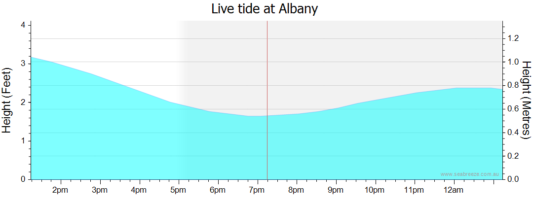 albany tides