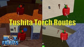 all torch locations for tushita