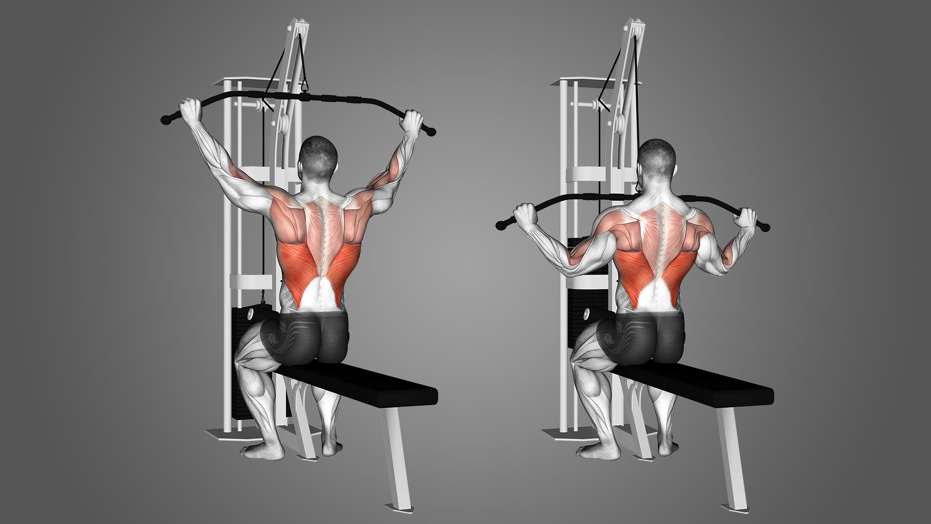 alternatives to lat pull downs