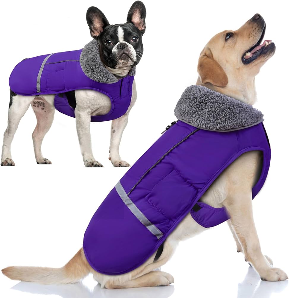 amazon dog coats