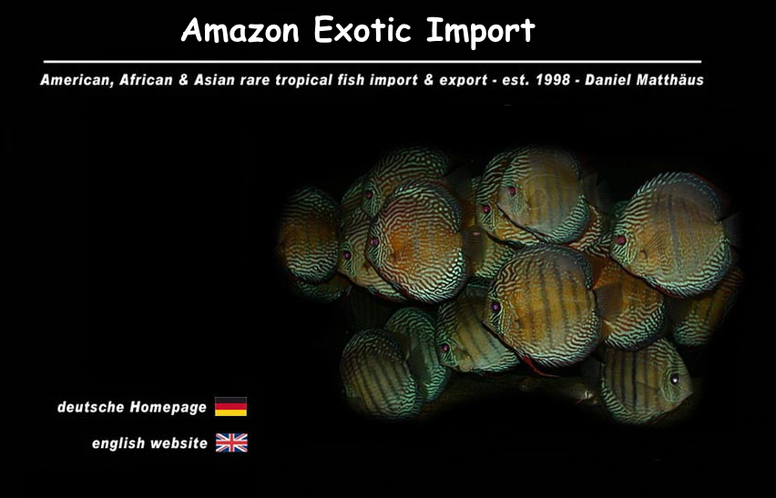 amazon exotic import