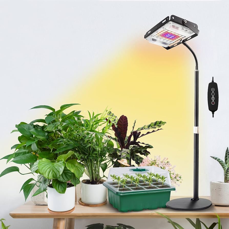 amazon plant lamp