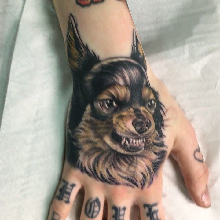 angry dog tattoo