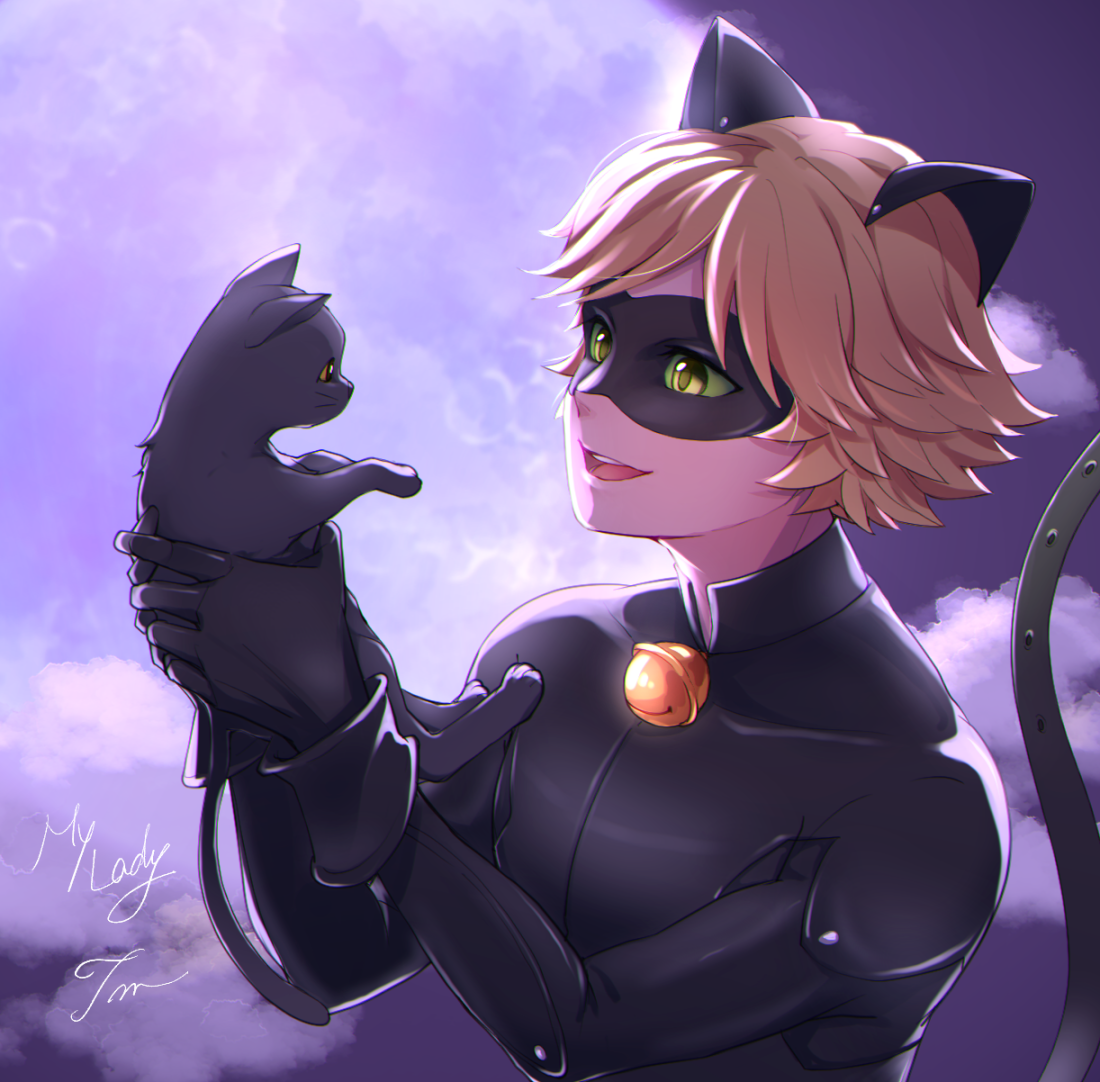 anime cat noir