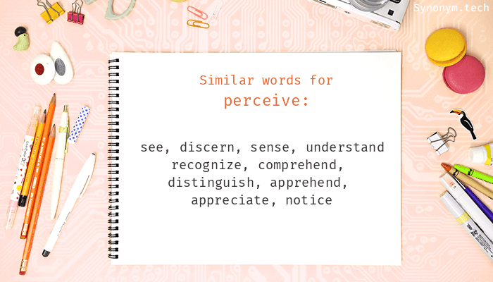 another word for perceive