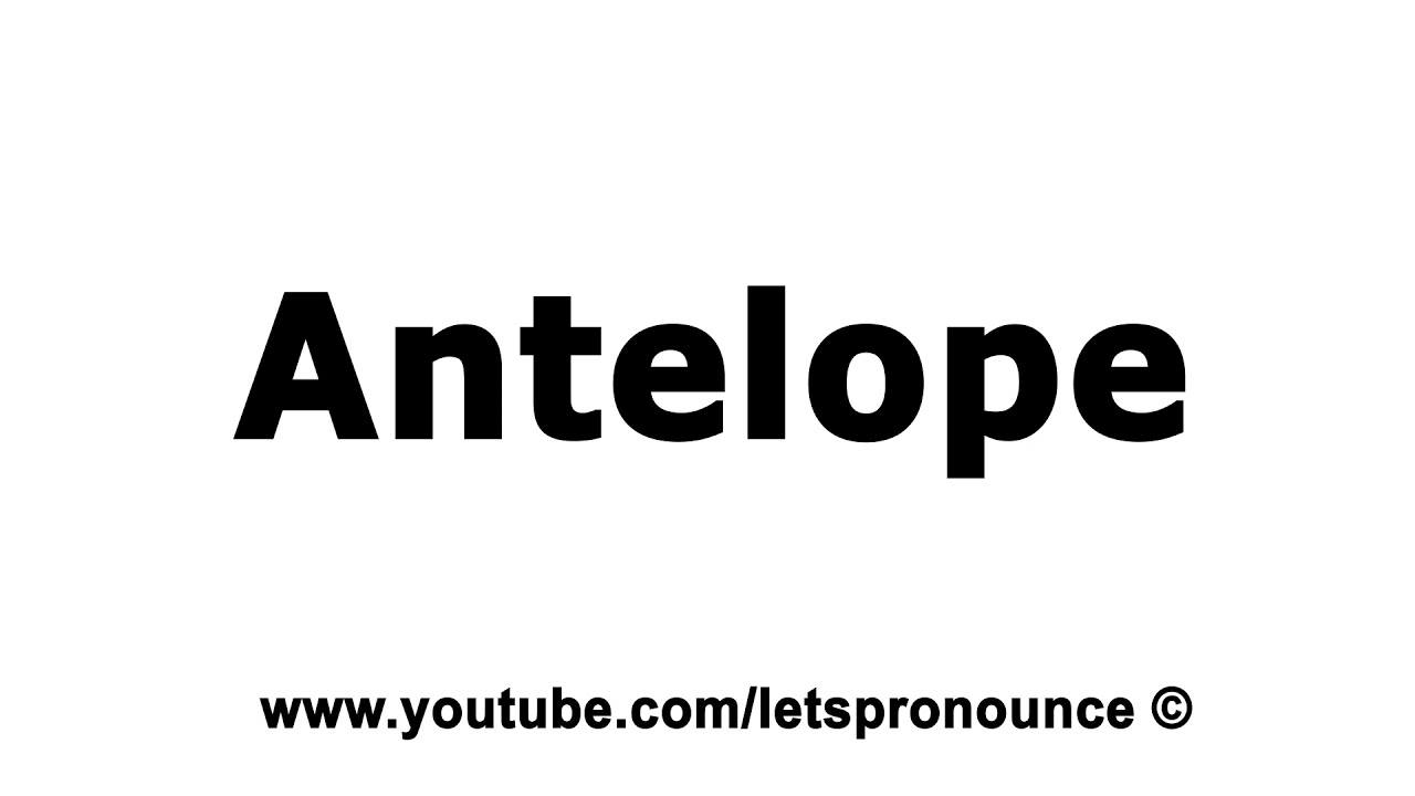 antelope pronunciation