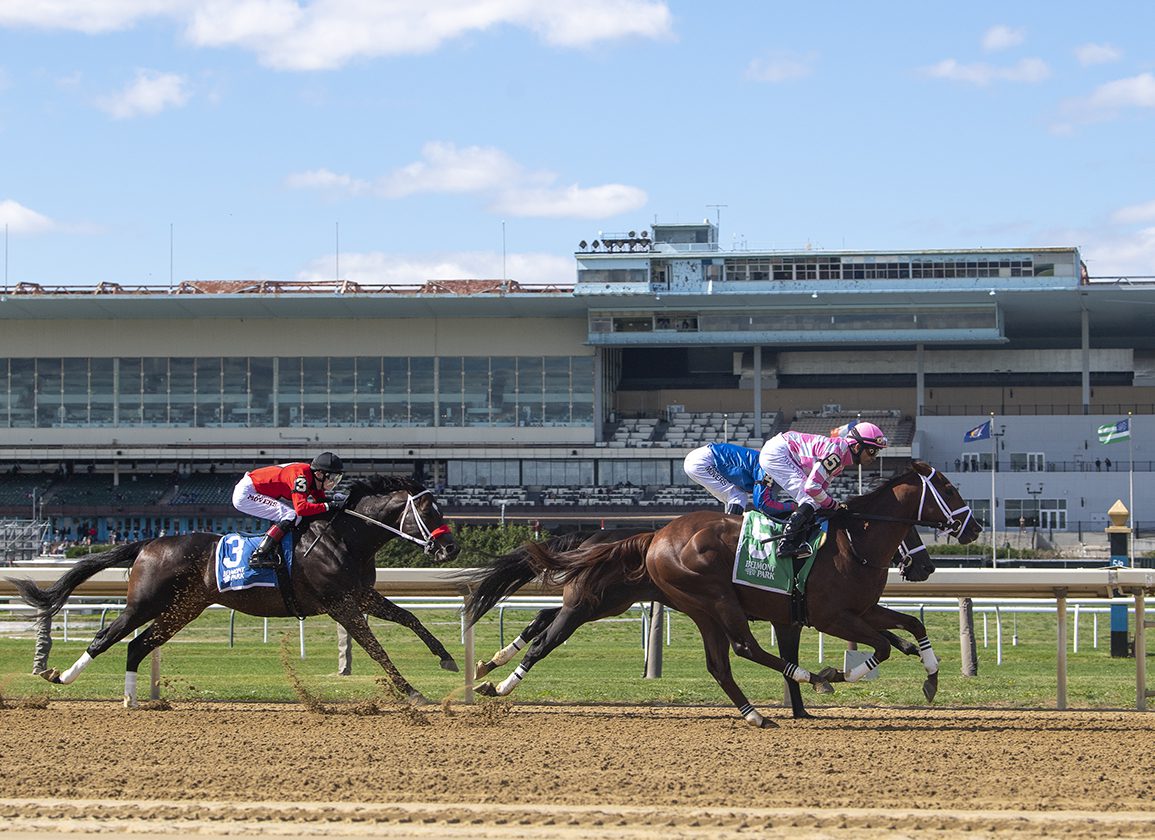 aqueduct racetrack live racing