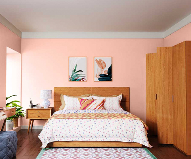 asian paints pink colour price