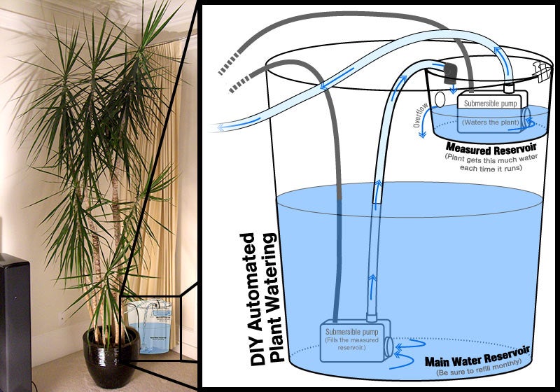 auto water feeder for plants