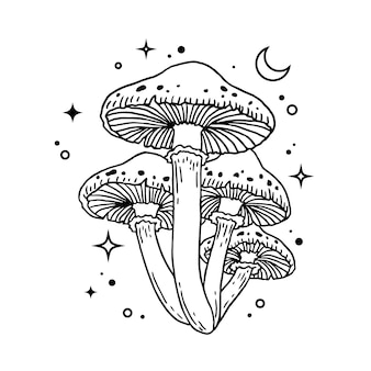 mushroom lineart