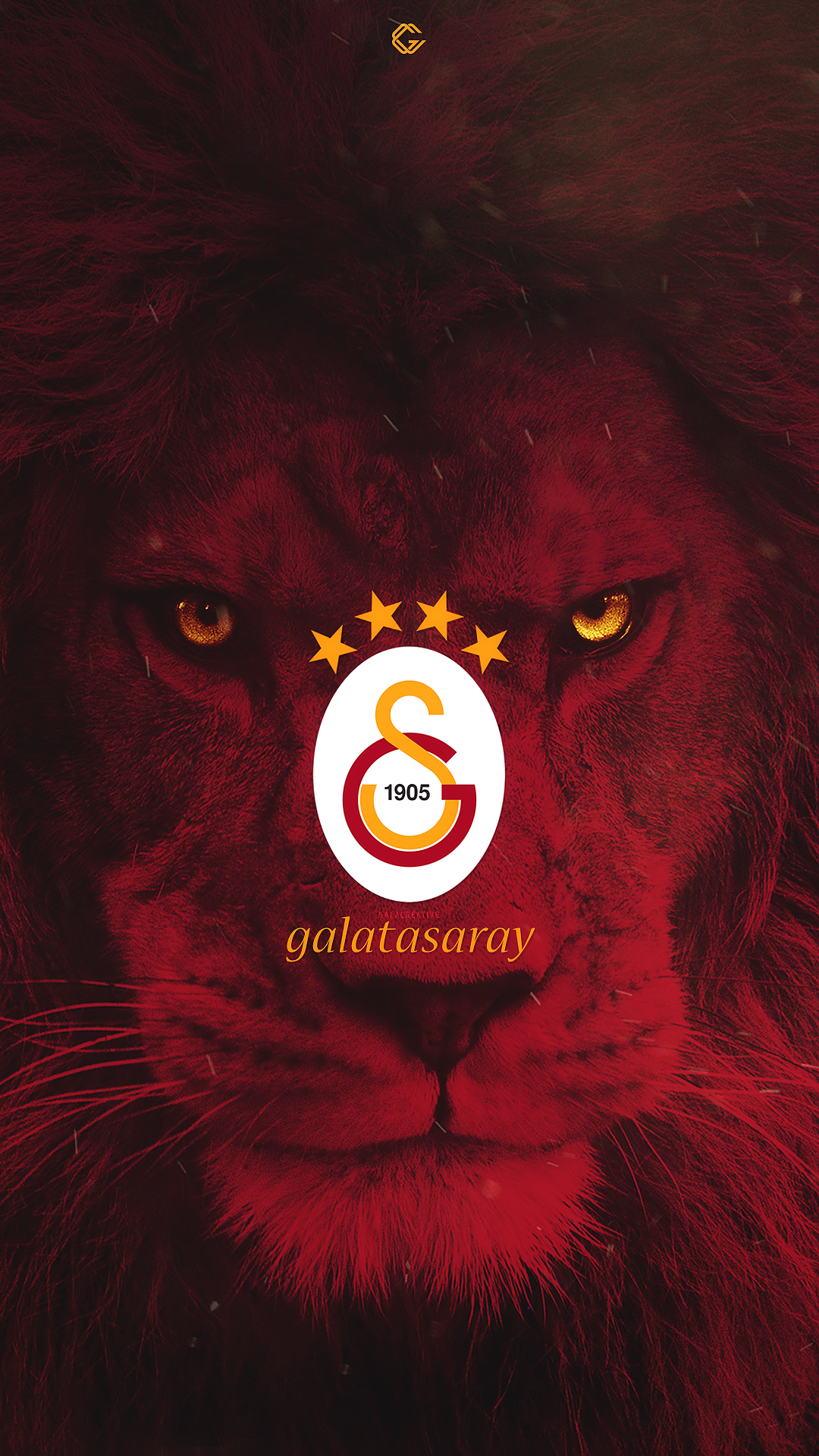 galatasaray aslan resmi