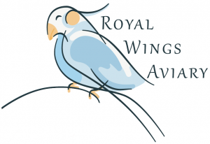 royal wings aviary