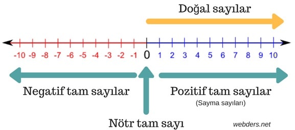 asal sayılar pozitif tam sayı mıdır