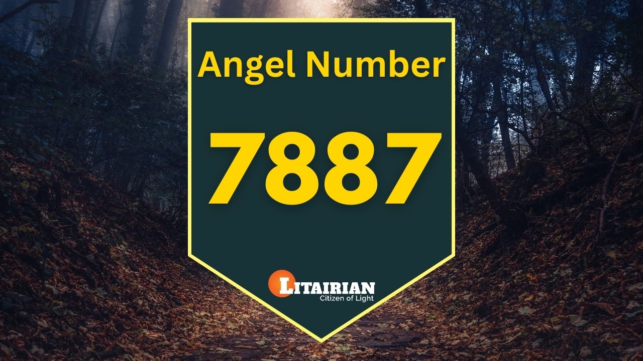 7887 angel number