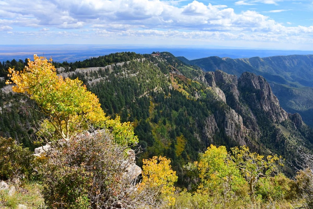 cibola national forest