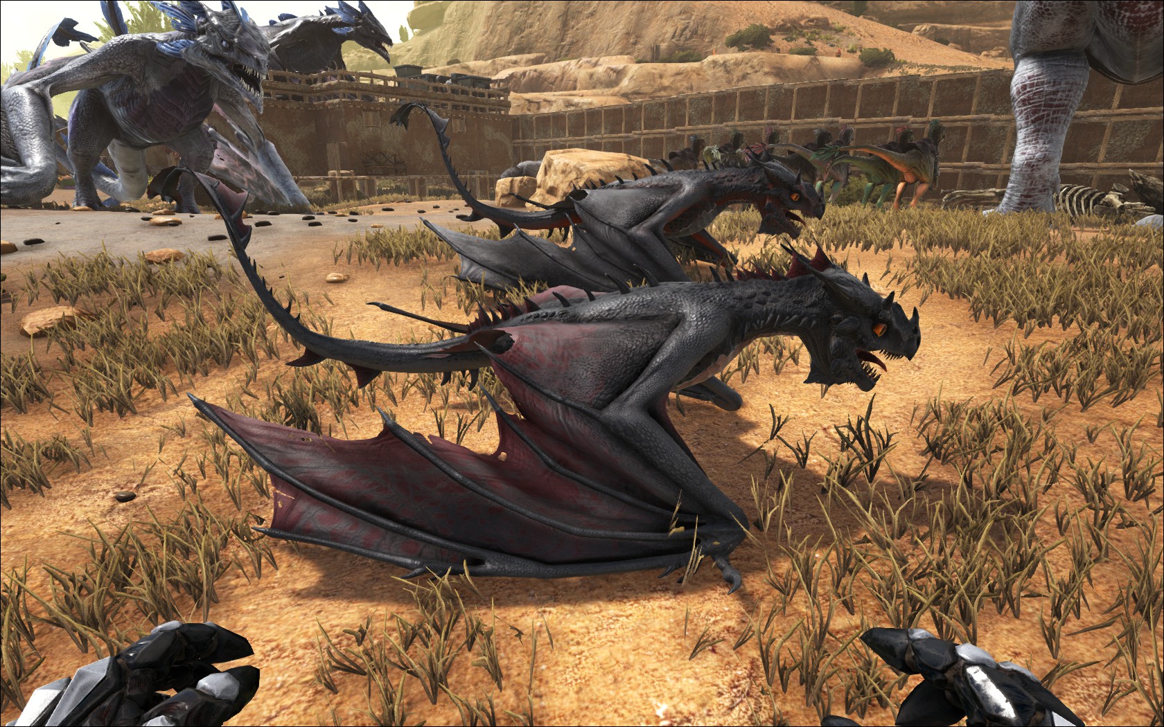 ark fire wyvern