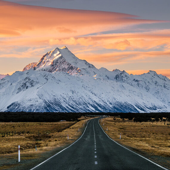 new zealand self drive tours reviews