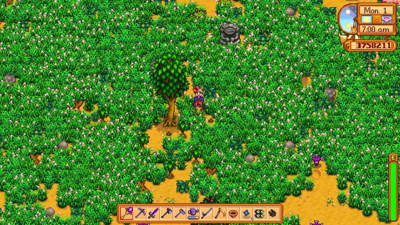 grass stardew