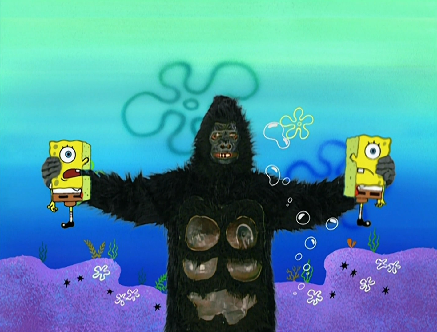 spongebob gorilla