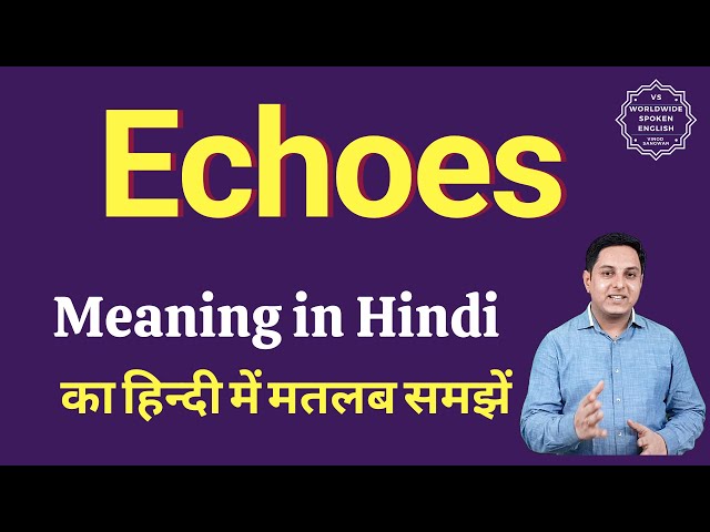 echofree meaning in hindi