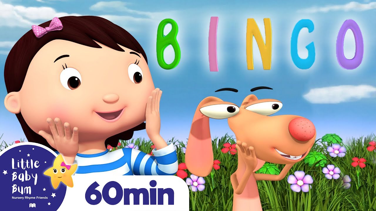 bingo baby song