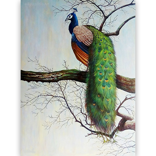 peacock canvas painting