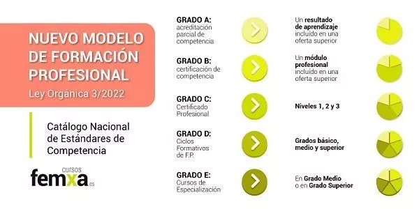 categorias profesionales a b c d