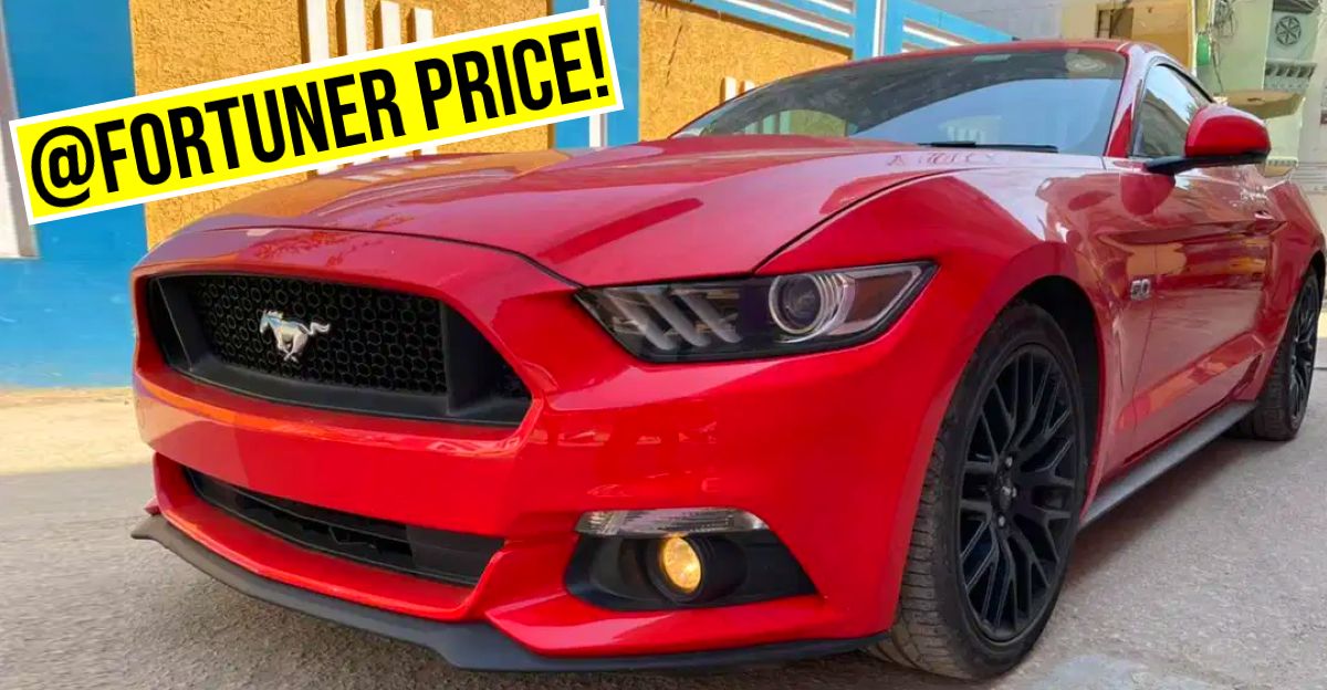 used mustang for sale in india