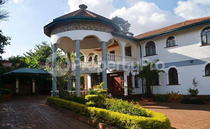 house to let lavington