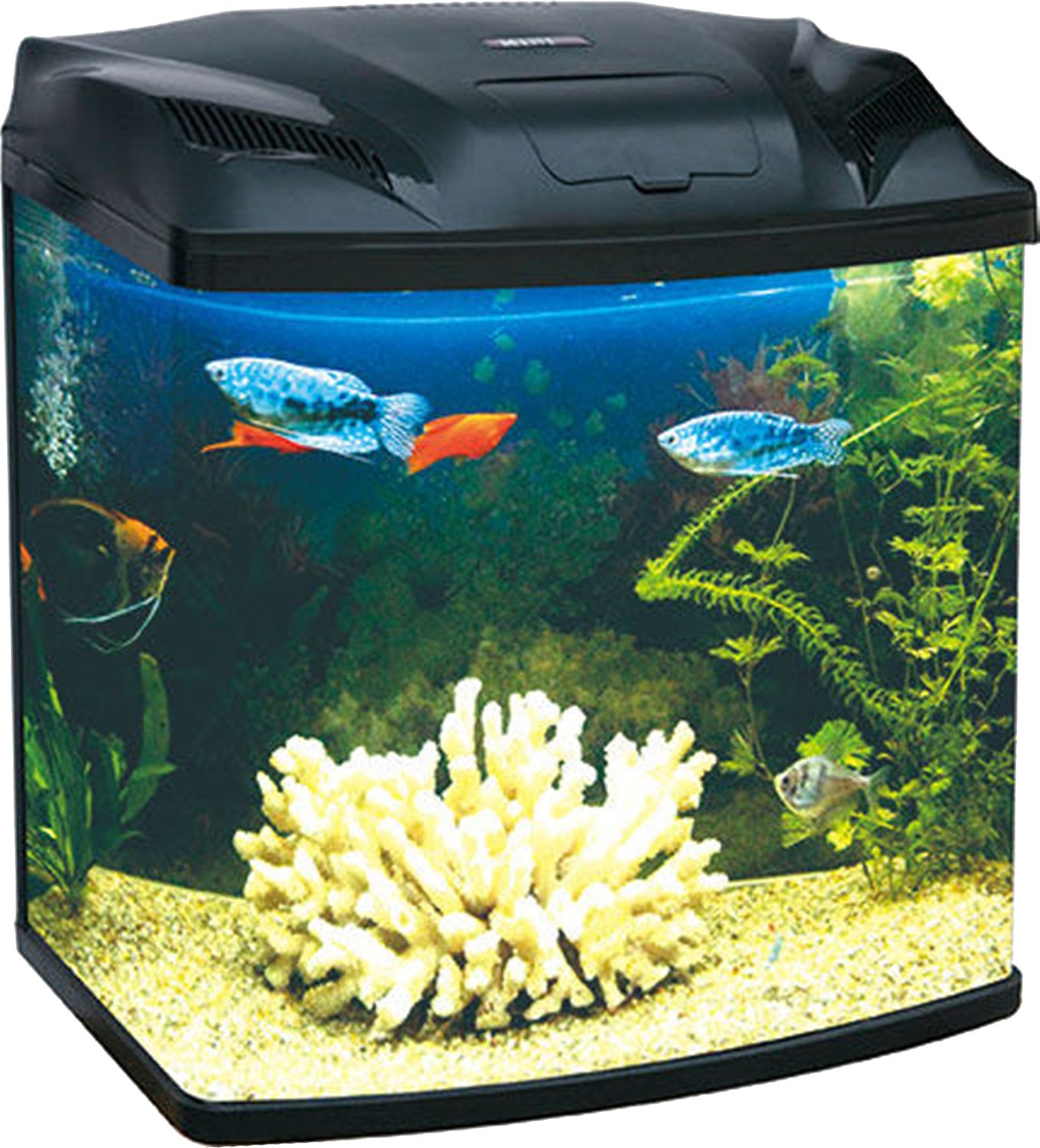 fish aquarium price in bangalore