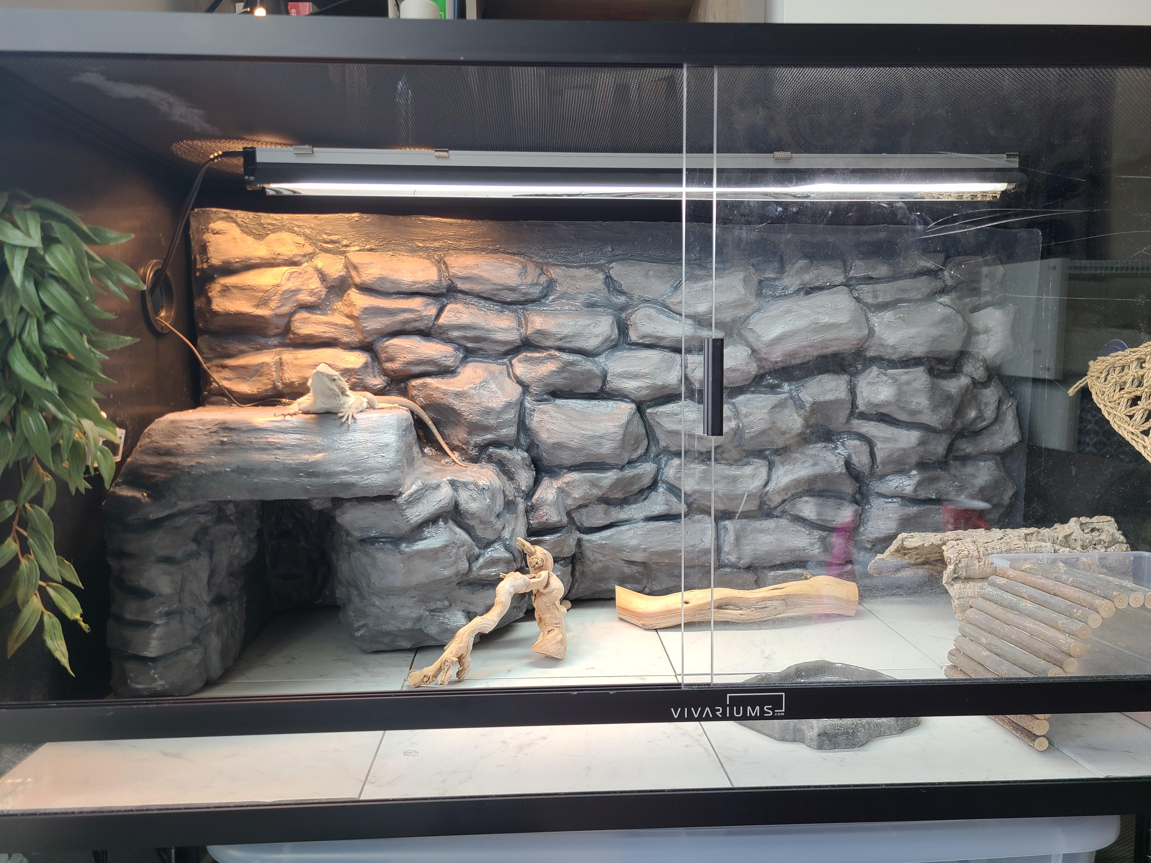 bearded dragon hide ideas