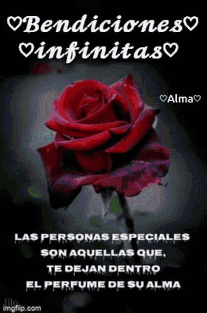 bendiciones infinitas