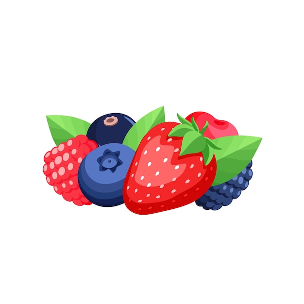 berries clipart