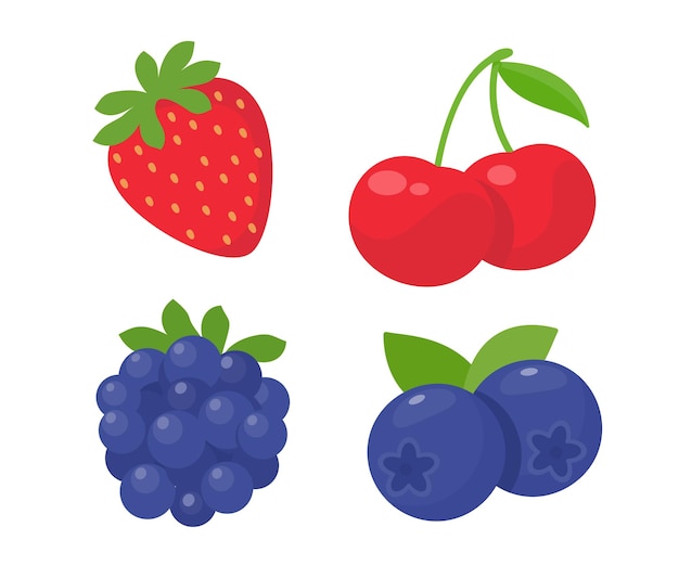 berry clipart