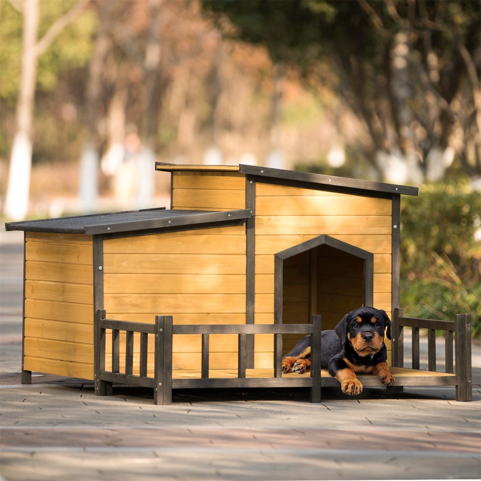 best dog house for large dogs