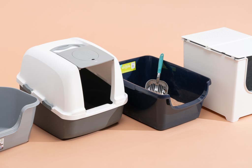 best rated cat litter box