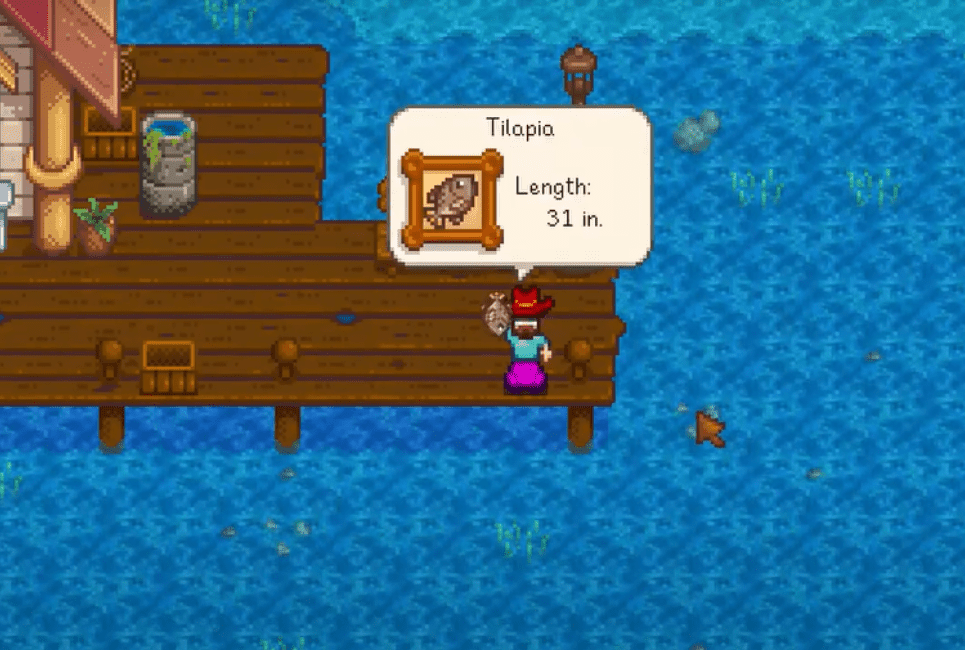 how to catch tilapia stardew valley