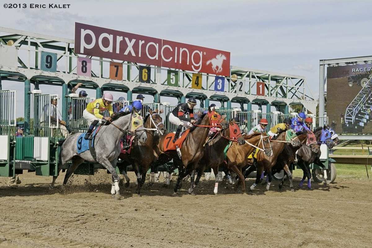 parx racing entries